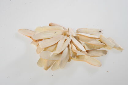 BAI SHAO (SHENG) - korzeń białej peonii (piwonii) 100g