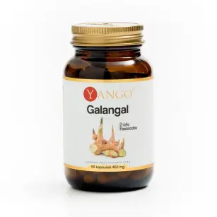 Galangal - ekstrakt - 90 kaps YANGO