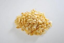 XING REN - Semen Armeniacae - Nasiona moreli zwyczajnej 100g