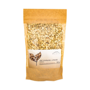 Arcydzięgiel litwor - nasiona - 50 g