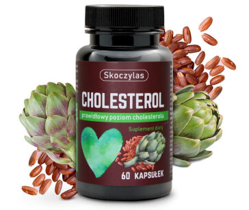 Cholesterol - Skoczylas
