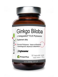Ginkgo Biloba z Ginkgoselect® PLUS Phytosome (60 kapsułek)