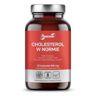 Cholesterol w normie - 50 kapsułek - Panaseus