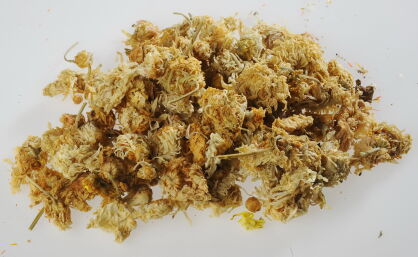 JU HUA - kwiat złocienia (chryzantemy) 50g