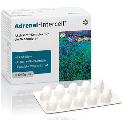 Adrenal-Intercell 120 kps