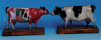 Model zwierząt - krowa (26x14x8cm)