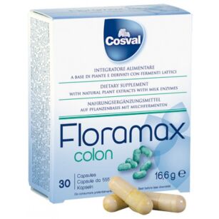 Naturalny preparat przywracający równowagę flory jelitowej – FLORAMAX COLON